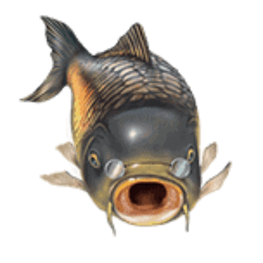 Carp Tax